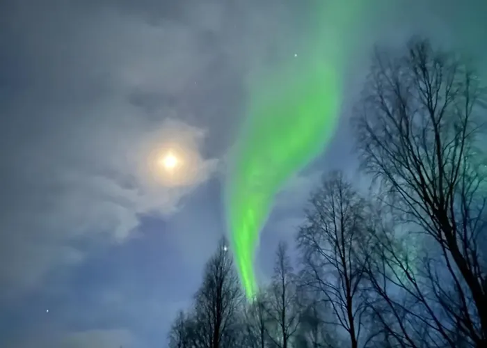 Near Santa Claus Village - Sauna - Wifi - Free Parking Rovaniemi